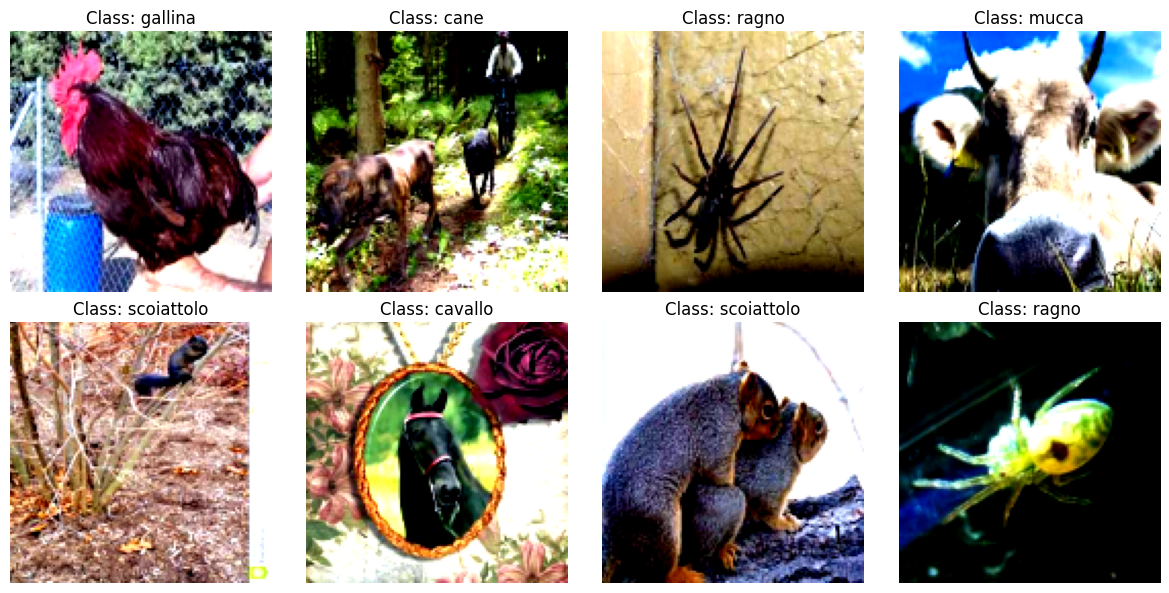 Animals10 Classifier